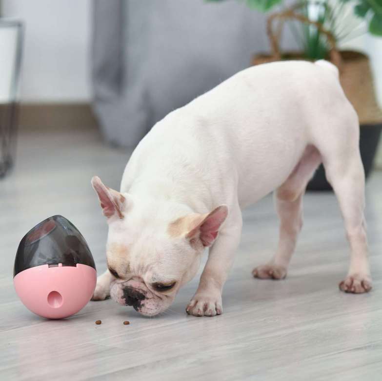 Dog Cat IQ Ball Toys Dog Treat Ball Increases IQ Interactive Food Dispensing Ball Slow Feeder