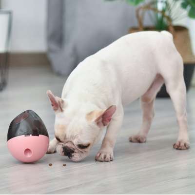 Dog Cat IQ Ball Toys Dog Treat Ball Increases IQ Interactive Food Dispensing Ball Slow Feeder